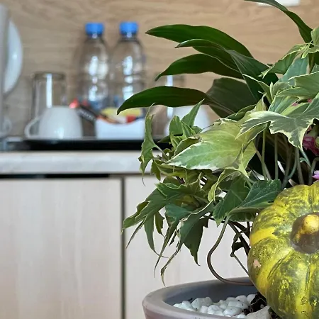 Adeona Wellness By Asteri Hotel Bansko